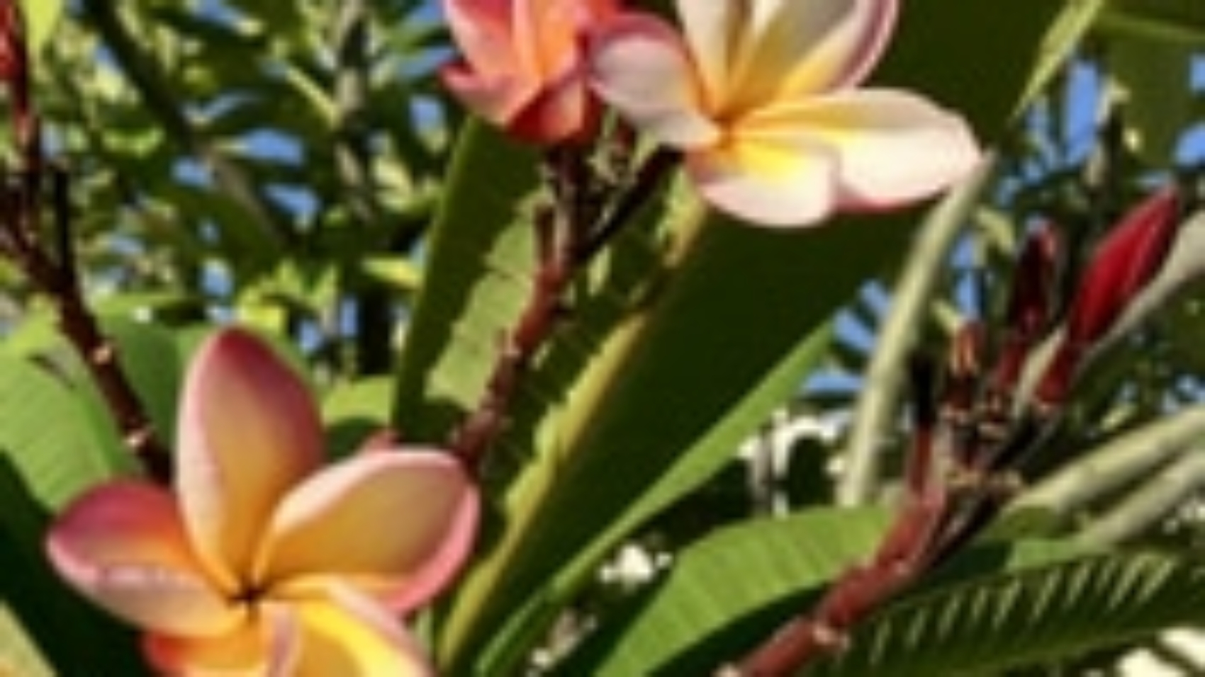 2025-02-20 14-25-06_878X883_176X177