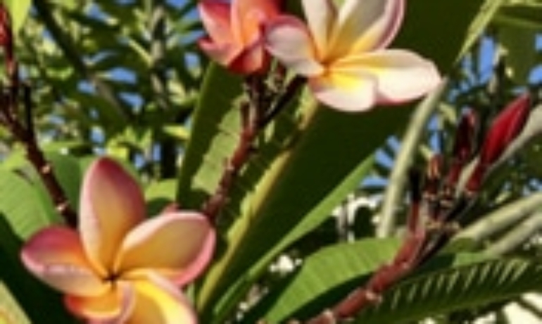 2025-02-20 14-25-06_878X883_176X177