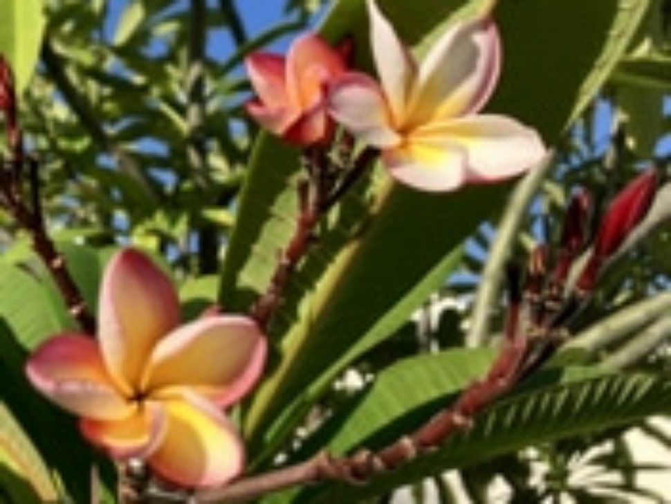 2025-02-20 14-25-06_878X883_176X177